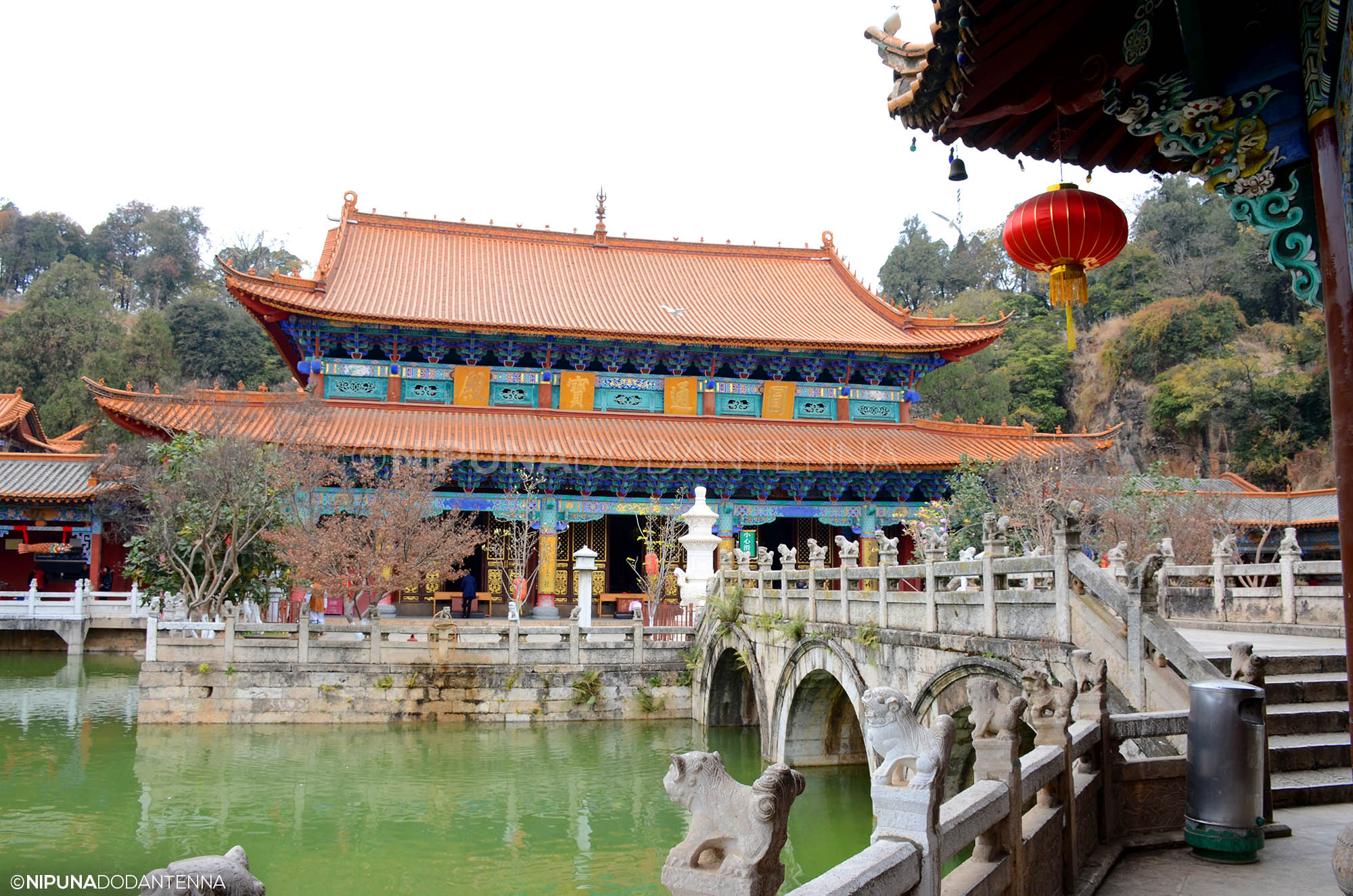 Beautiful Kunming - The Traveller